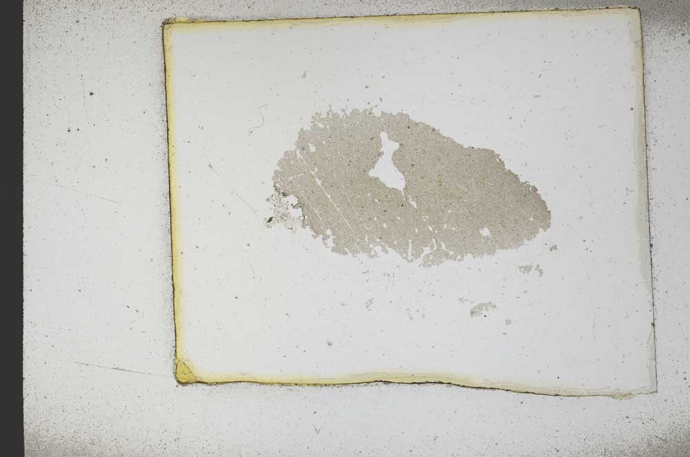 Plane Polarized, S10361