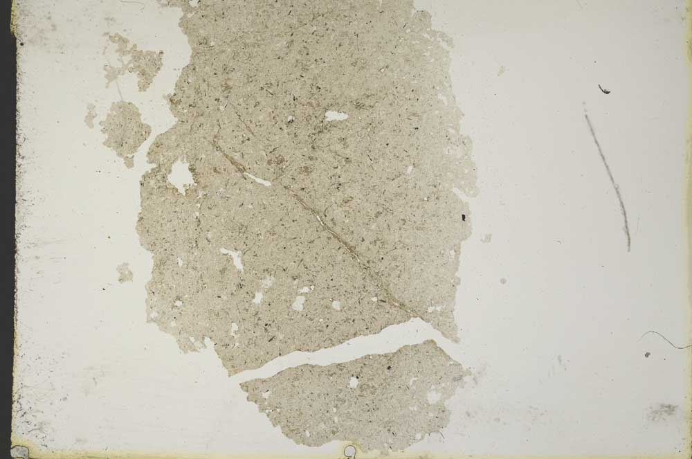 Plane Polarized, S10362