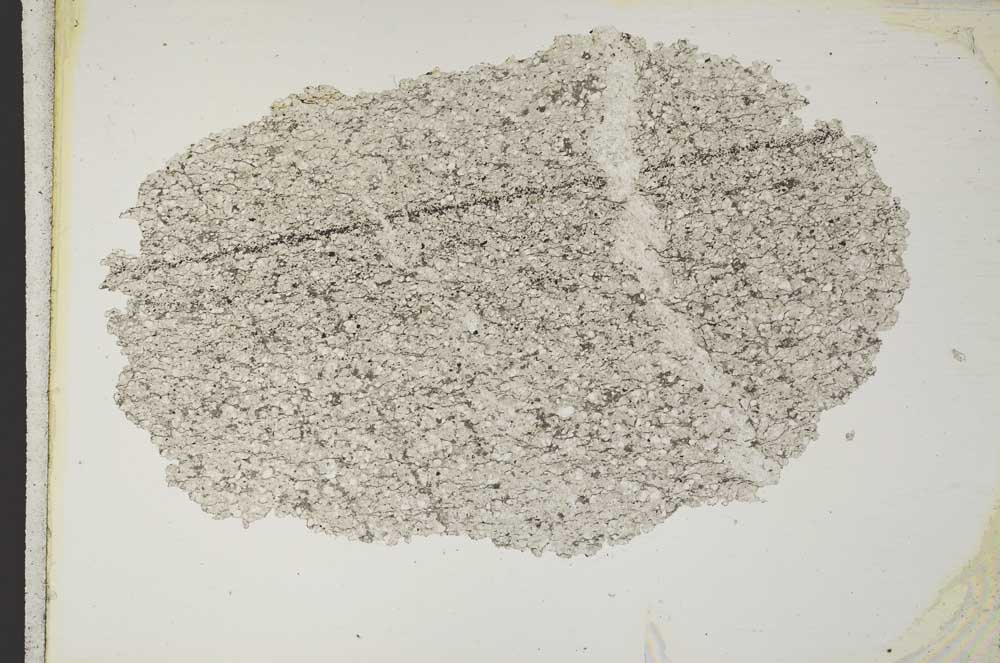 Plane Polarized, S10363