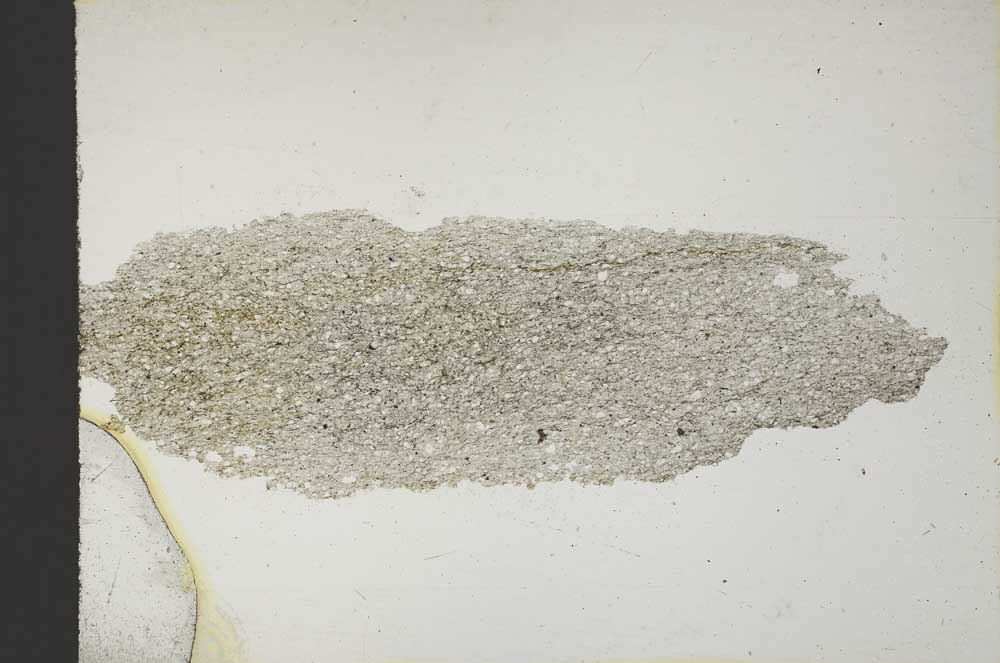 Plane Polarized, S10366