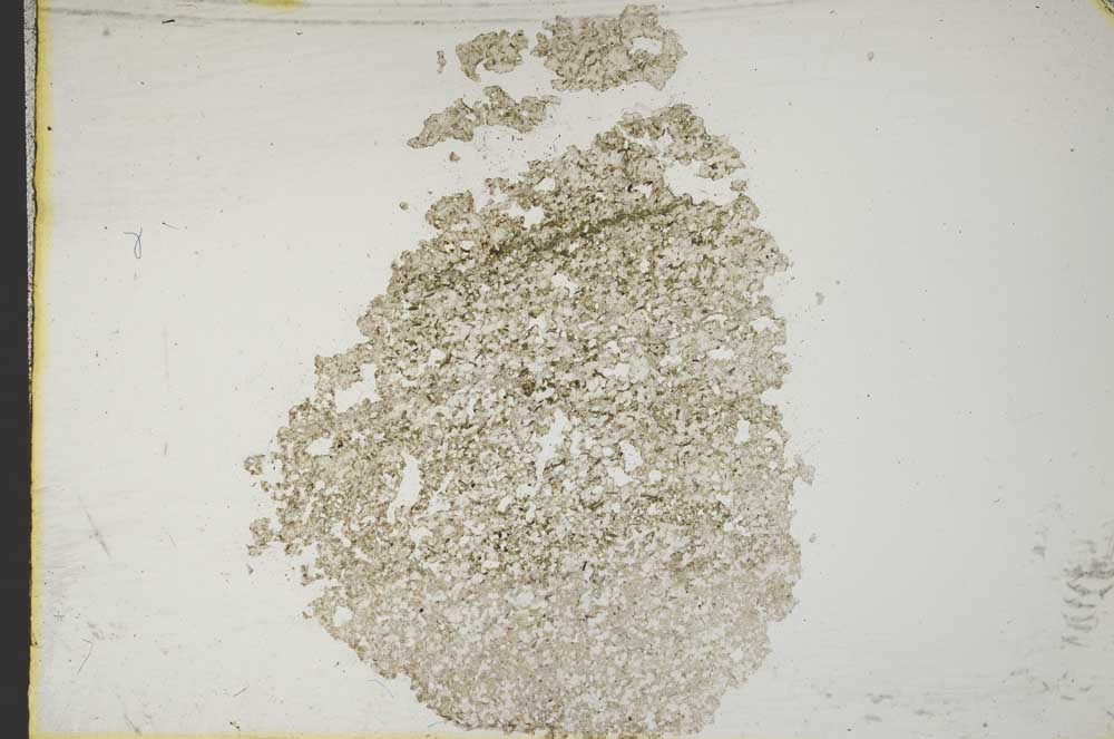 Plane Polarized, S10368