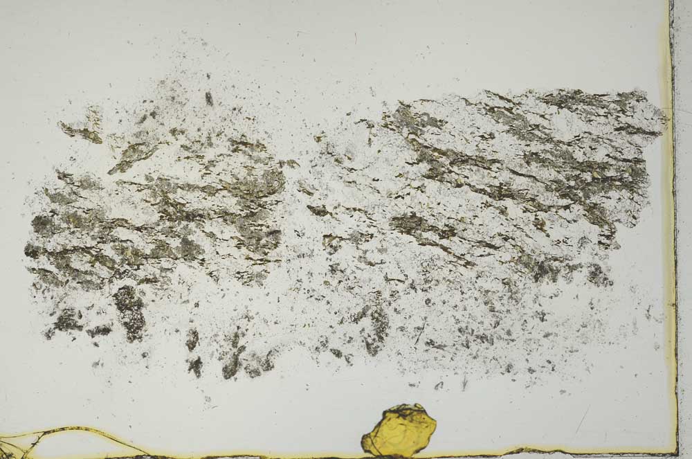 Plane Polarized, S10368/A