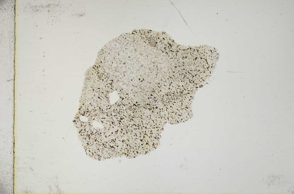 Plane Polarized, S10370