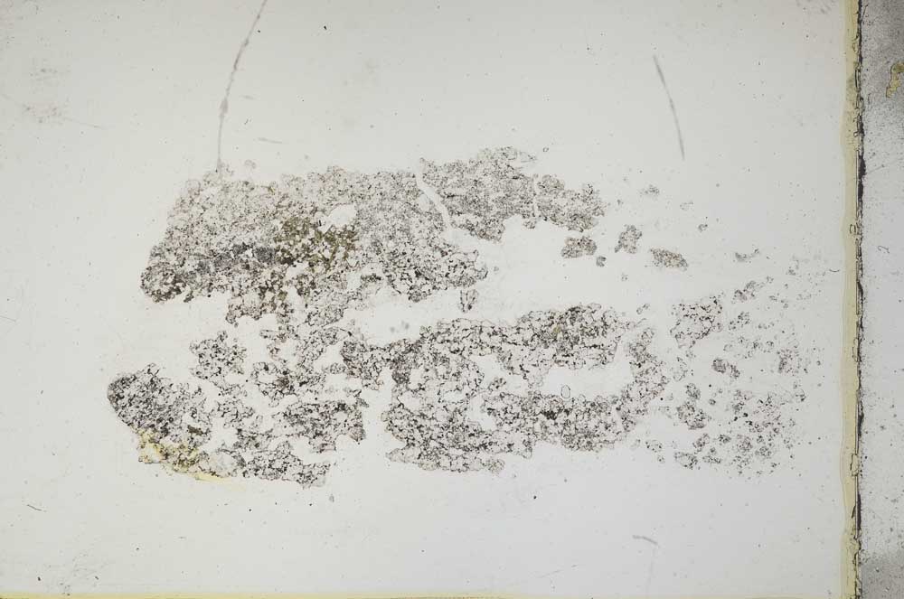 Plane Polarized, S10375