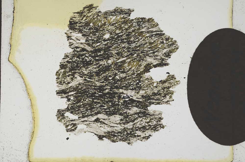 Plane Polarized, S10377