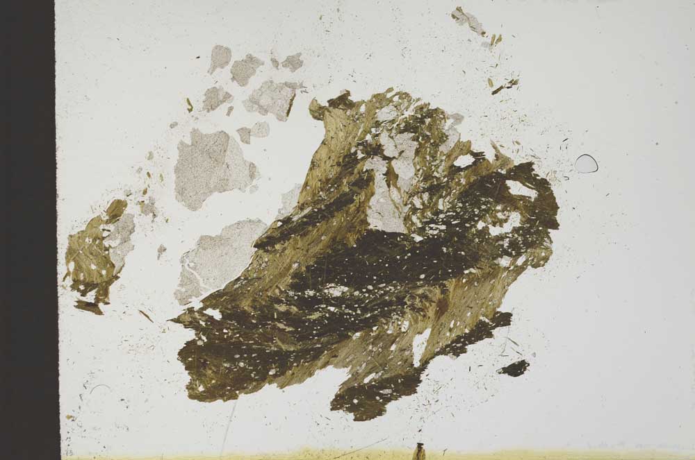 Plane Polarized, S10378