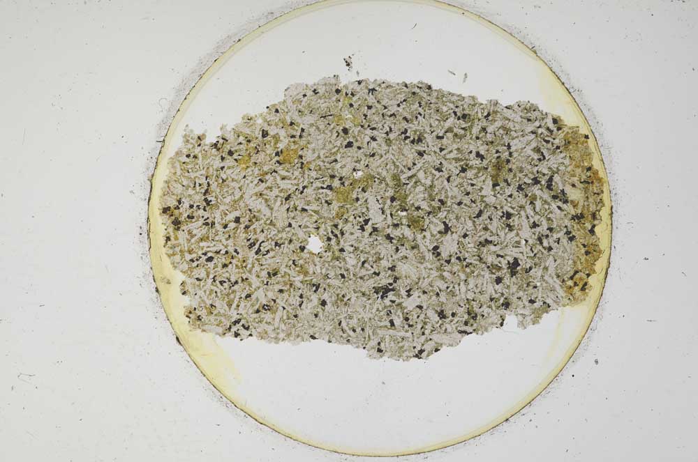 Plane Polarized, S780