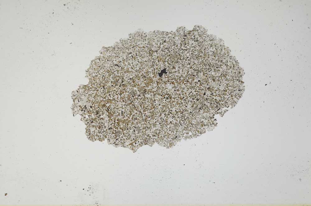 Plane Polarized, S786/A