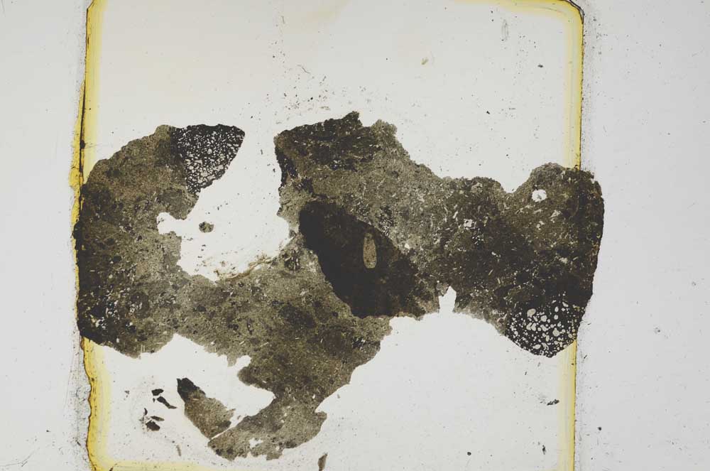 Plane Polarized, S787