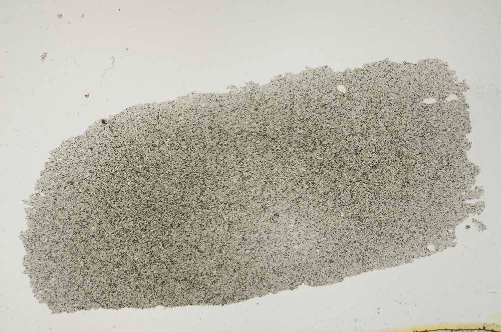 Plane Polarized, S814