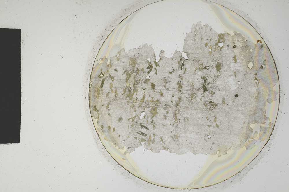 Plane Polarized, S845