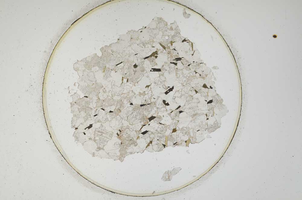 Plane Polarized, S850/A