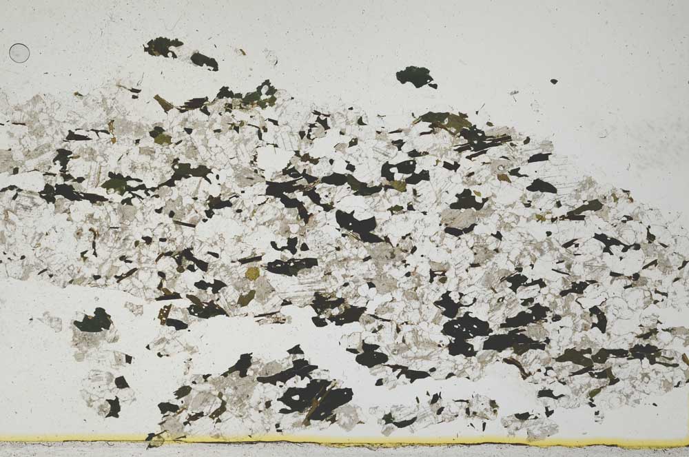 Plane Polarized, S850/C