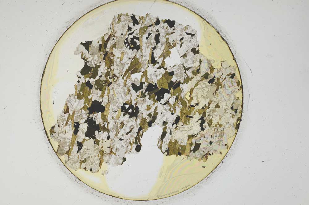 Plane Polarized, S850/D