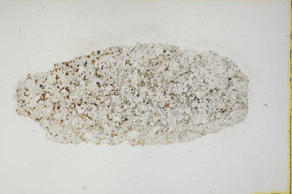 Plane Polarized, S907