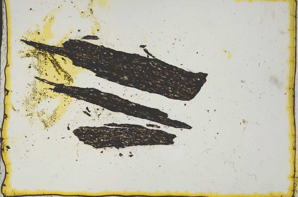 Plane Polarized, S926