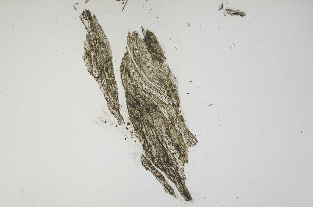 Plane Polarized, S927