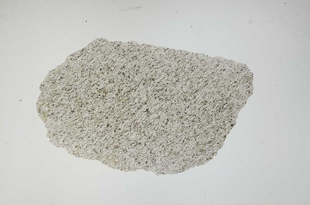 Plane Polarized, S928