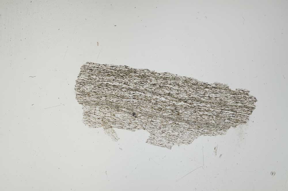 Plane Polarized, S931