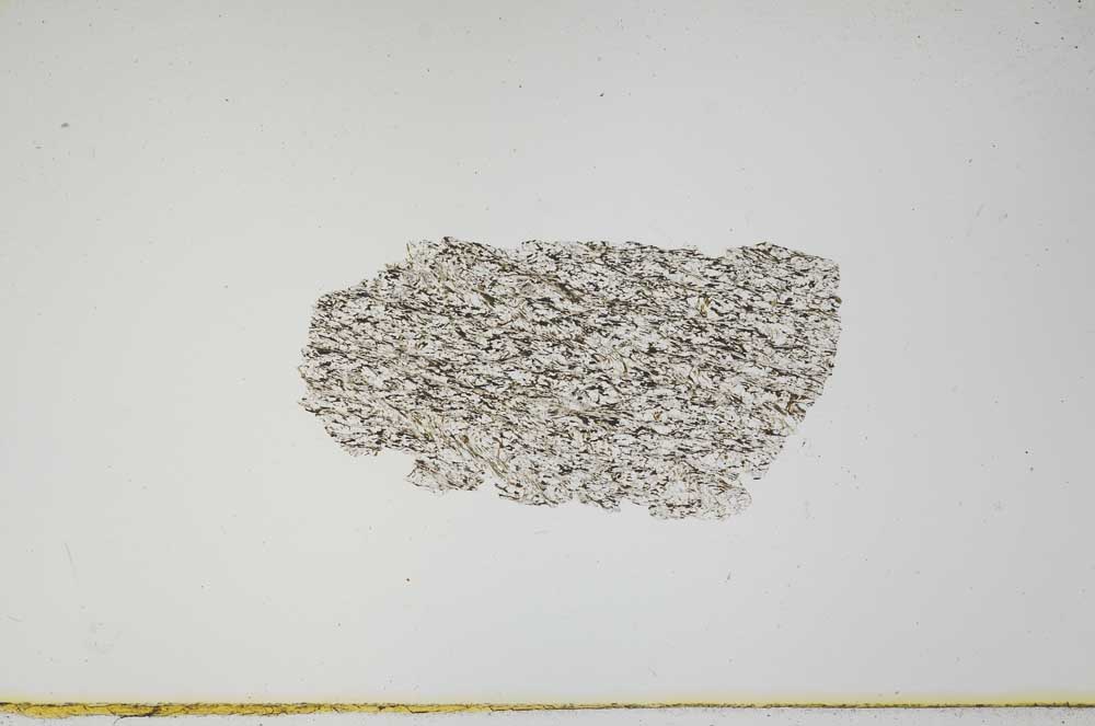 Plane Polarized, S932