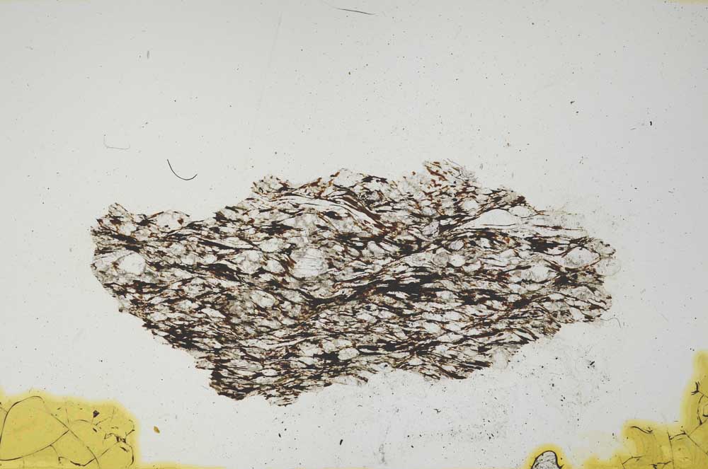 Plane Polarized, S942