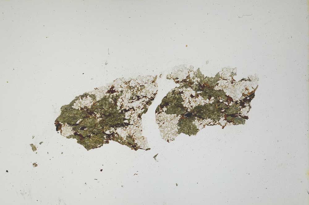 Plane Polarized, S944