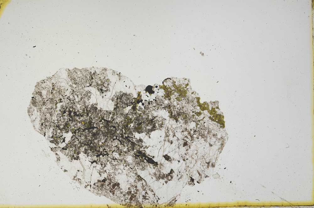 Plane Polarized, S949