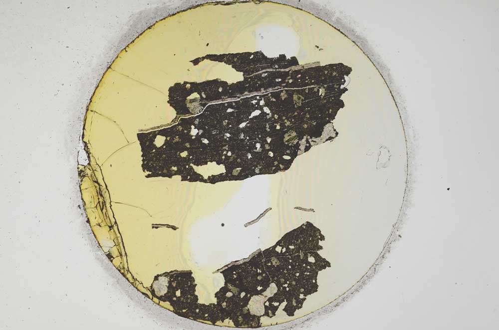Plane Polarized, S1002