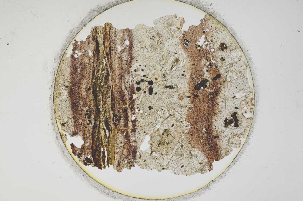 Plane Polarized, S1006