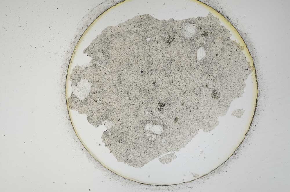 Plane Polarized, S1007