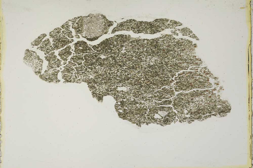 Plane Polarized, S10382