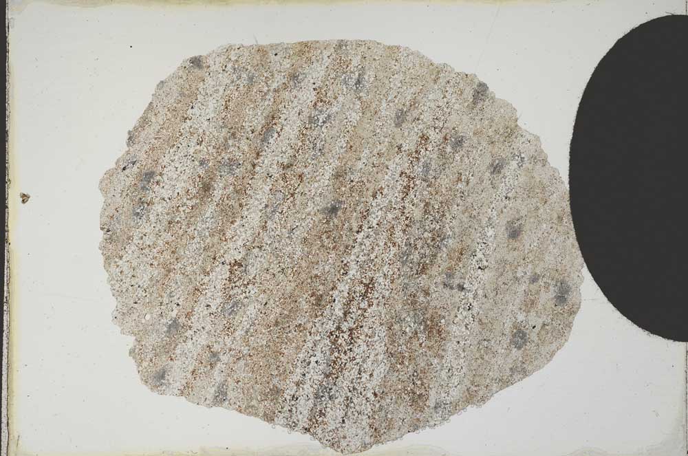 Plane Polarized, S10391