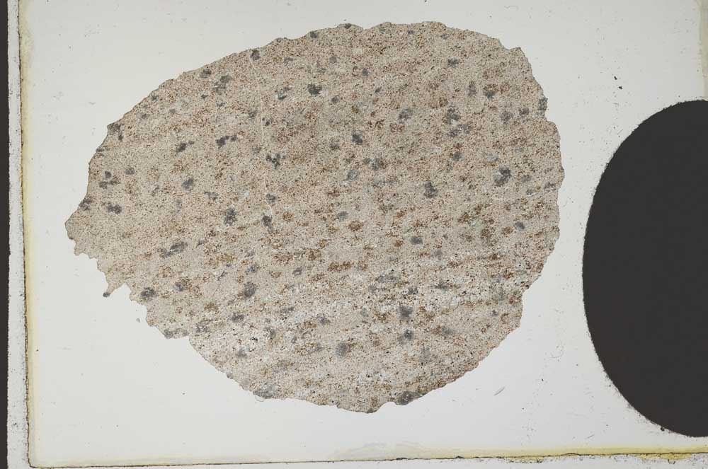 Plane Polarized, S10392