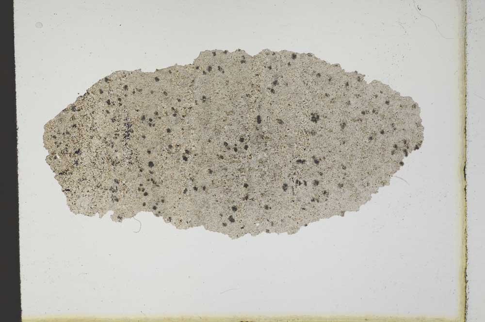 Plane Polarized, S10393