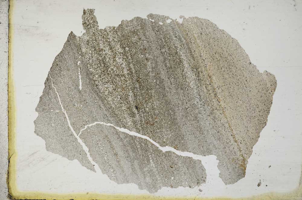 Plane Polarized, S10395