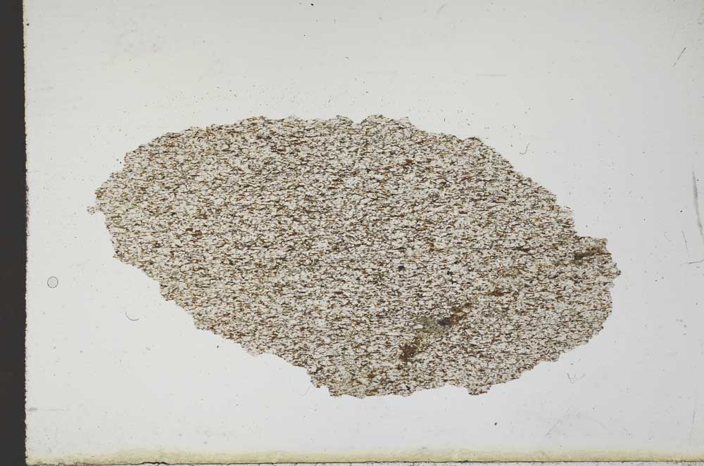 Plane Polarized, S10396