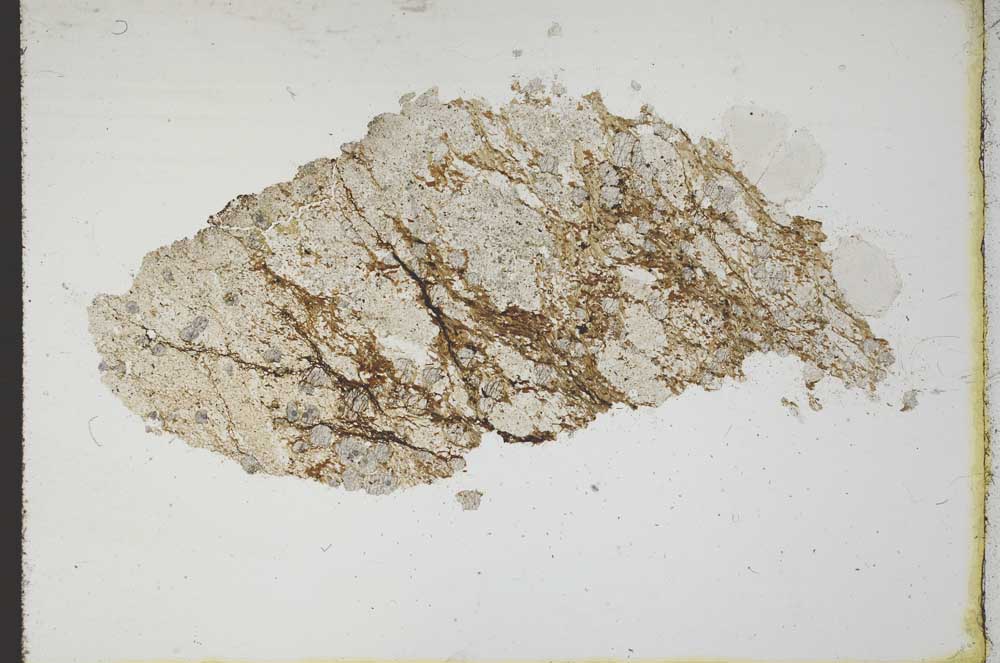 Plane Polarized, S10398