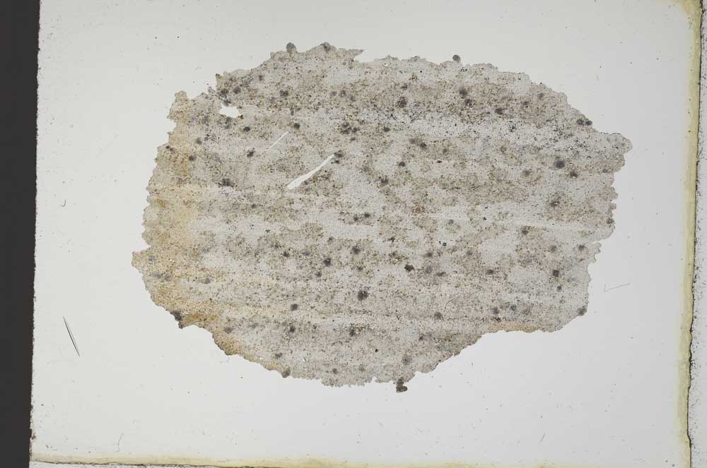 Plane Polarized, S10400