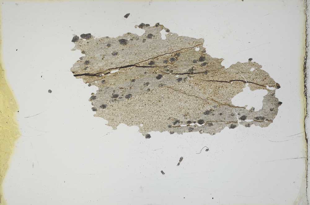 Plane Polarized, S10401