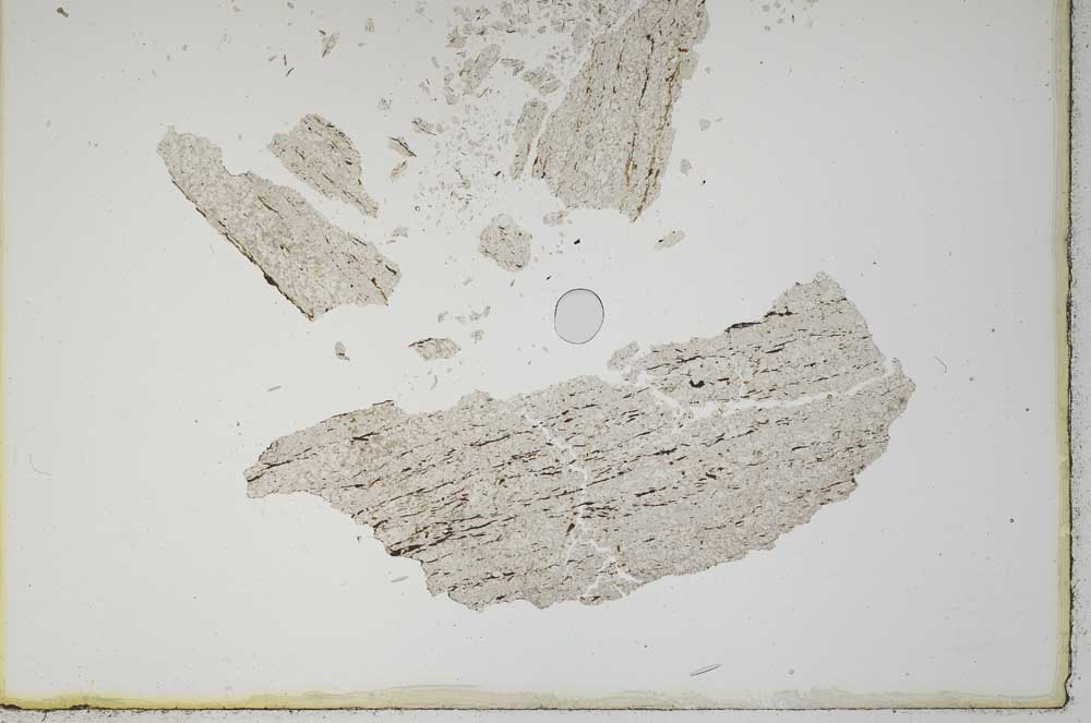 Plane Polarized, S10403