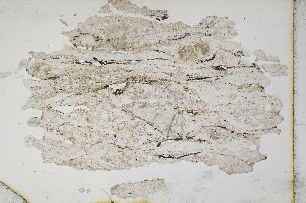 Plane Polarized, S10404