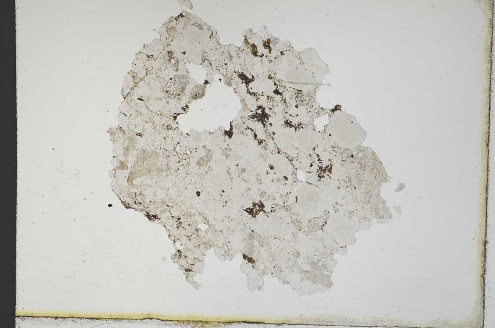 Plane Polarized, S10405