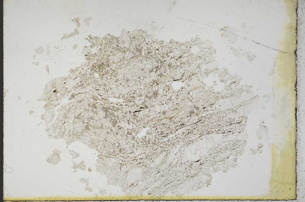 Plane Polarized, S10407