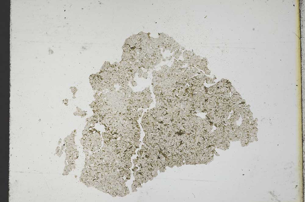 Plane Polarized, S10409