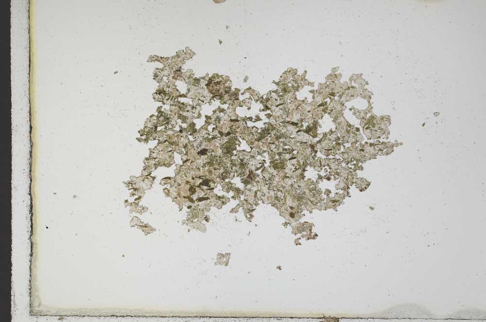 Plane Polarized, S10410