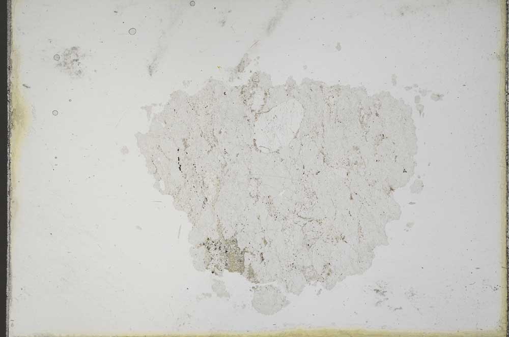 Plane Polarized, S10438