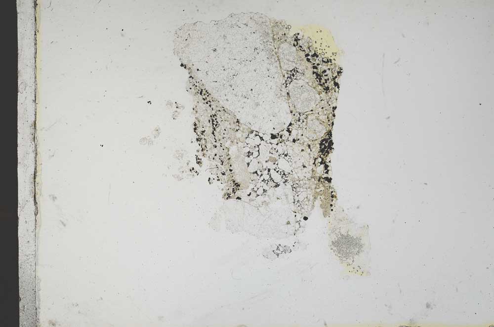 Plane Polarized, S10440
