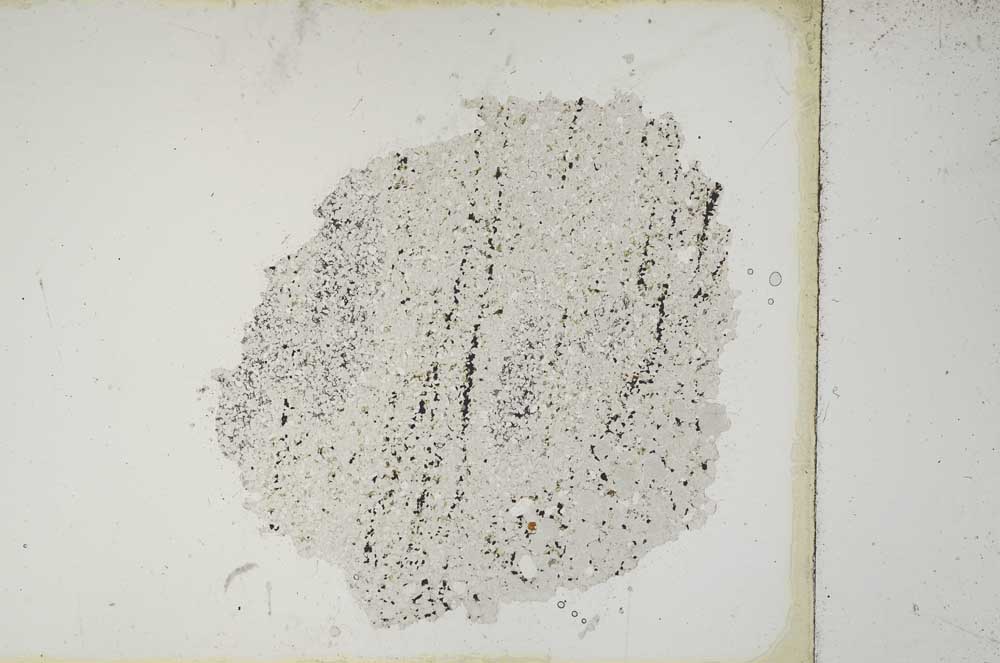Plane Polarized, S10442