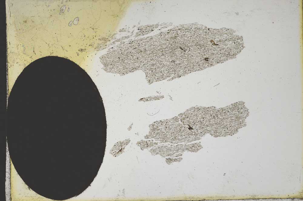 Plane Polarized, S10446