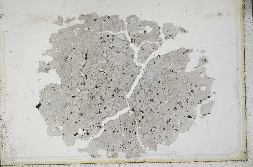 Plane Polarized, S10454